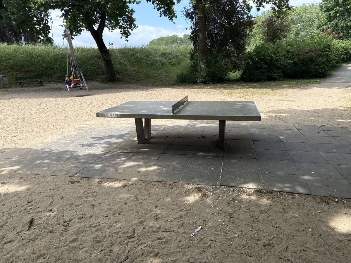 Tischtennis bei Stresemannanlage