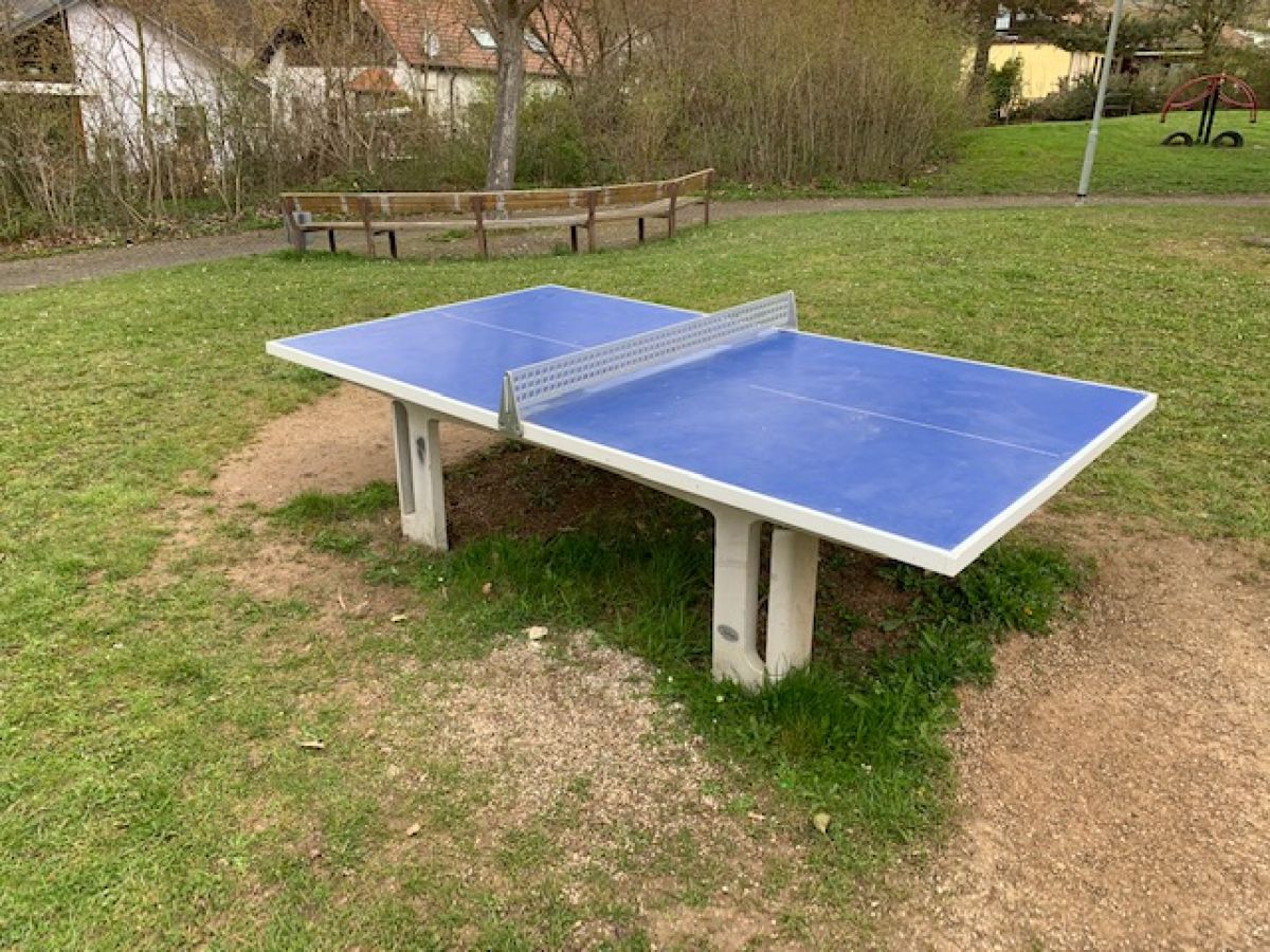 Tischtennis bei Tannenring