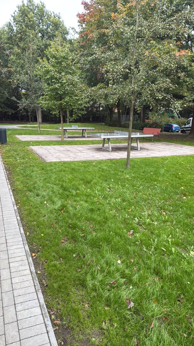 Tischtennis bei Carl-Bremer-Ring