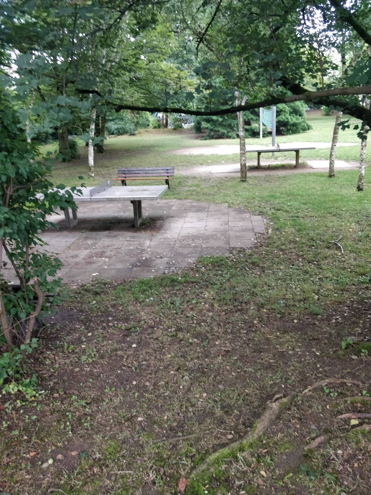 Tischtennis bei Sachsenhäuser Landwehrweg