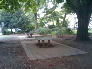Tischtennis bei Claudiusstraße 1
