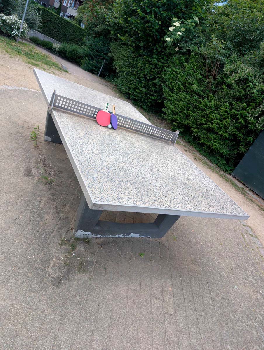 Tischtennis bei Ludwig-Rosenberg-Ring