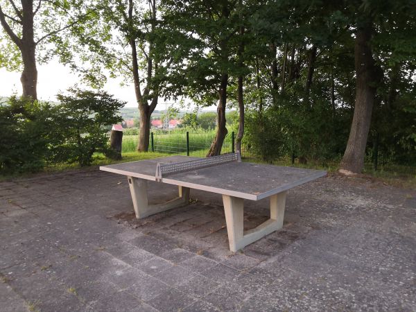 Tischtennis bei Tischtennisplatte #11187