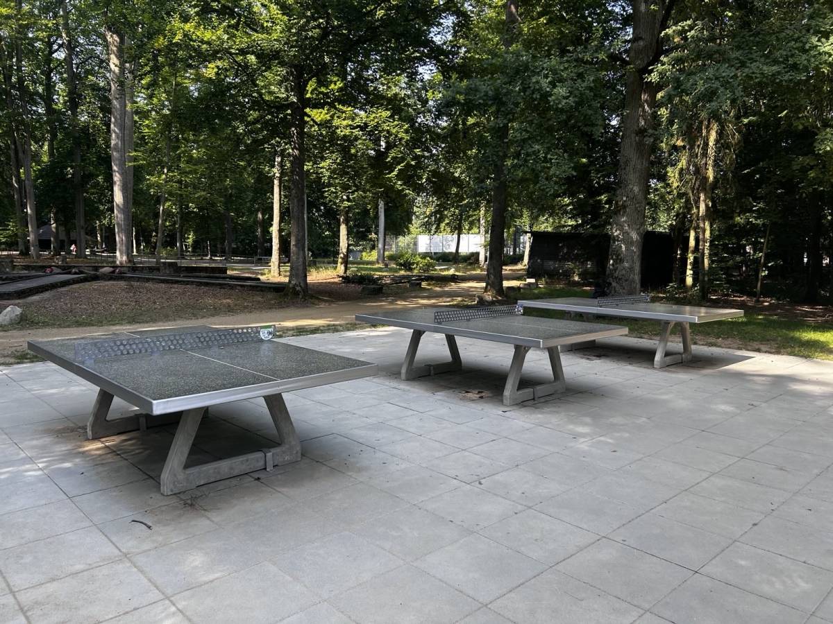 Tischtennis bei Scheerwaldschneise