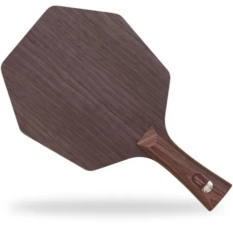 STIGA Holz Destiny Carbon Cybershape konkav