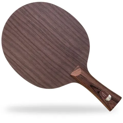 STIGA Holz Destiny Carbon konkav